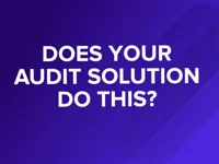 screenshot of Expense Audit